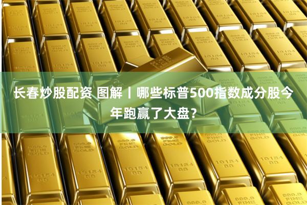 长春炒股配资 图解丨哪些标普500指数成分股今年跑赢了大盘？