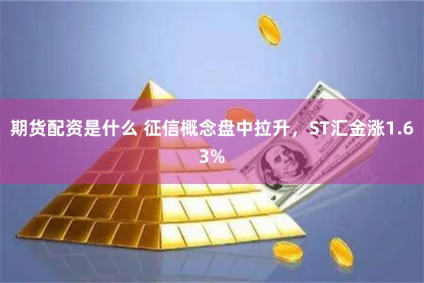 期货配资是什么 征信概念盘中拉升，ST汇金涨1.63%