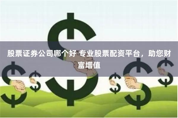 股票证券公司哪个好 专业股票配资平台，助您财富增值