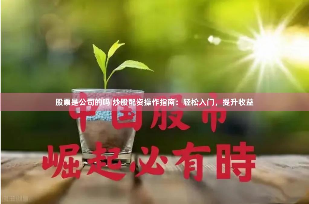 股票是公司的吗 炒股配资操作指南：轻松入门，提升收益